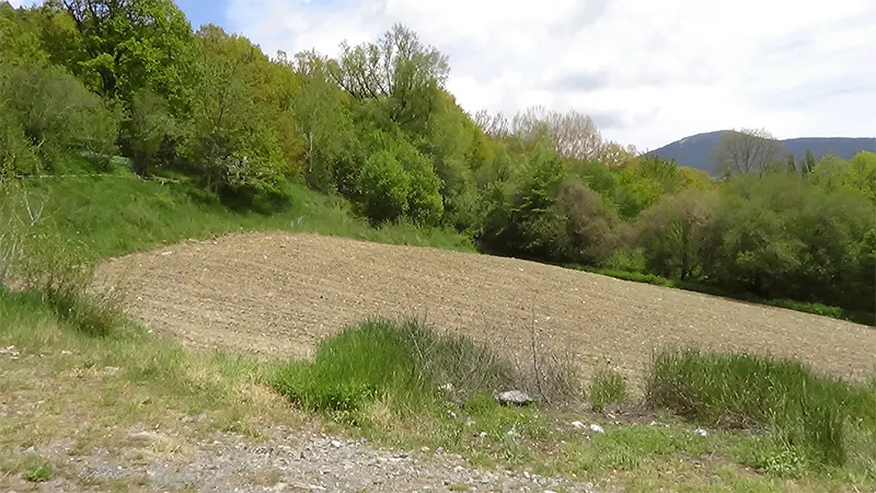 Els Cortals de Sispony (Fotografia d’en Valentí Turu, 25 de juny 2016)