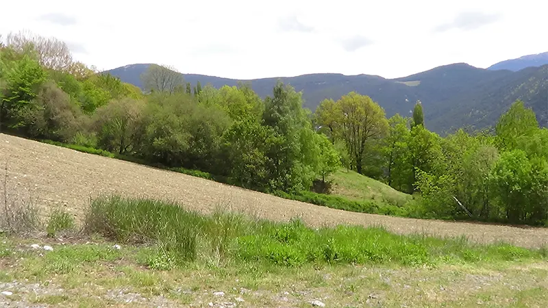 Els Cortals de Sispony (Fotografia d’en Valentí Turu, 25 de juny 2016)