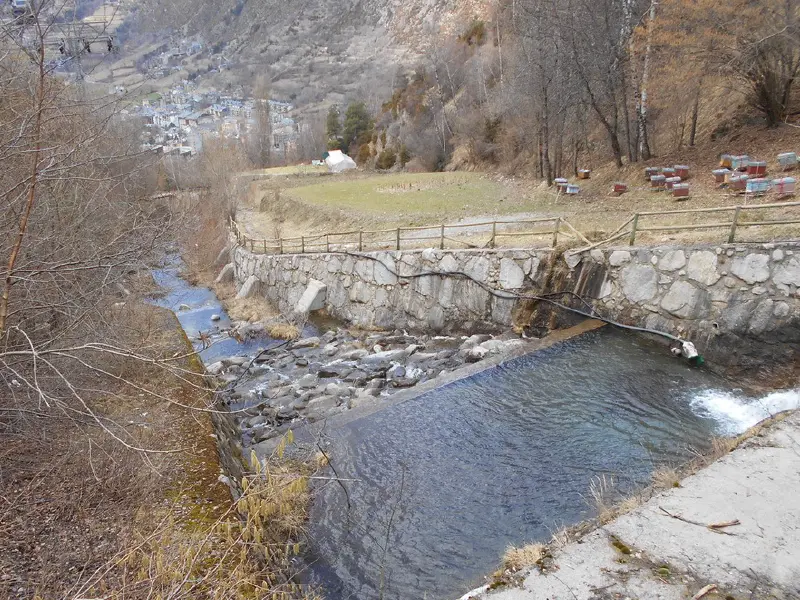 Dics al riu dels Cortals. Fotografia d’en Valentí Turu del 9 de març 2023