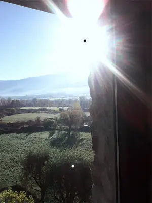 Tarde de novembre (2015, fotografia de Teresa Font)